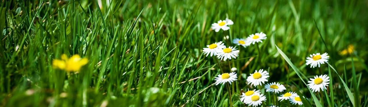 megamaster-yesil-baski-urunler